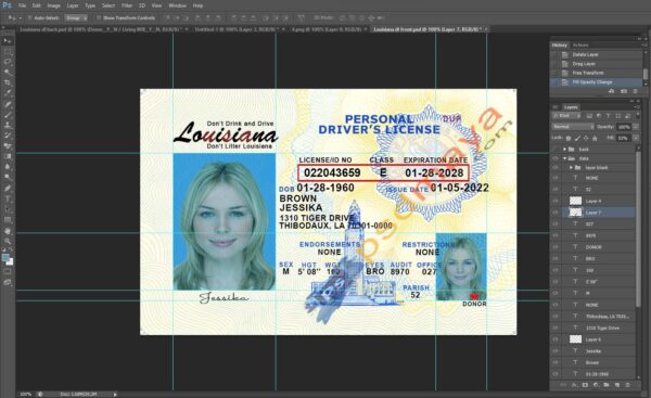 louisiana drivers license template
