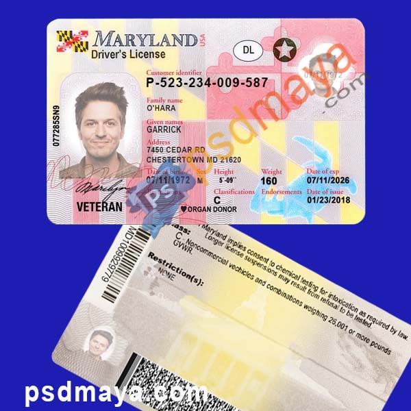 Maryland driving license psd template Fully Editable