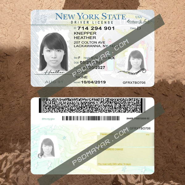 new york driving license psd template