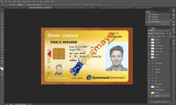 Queensland Driving License psd template