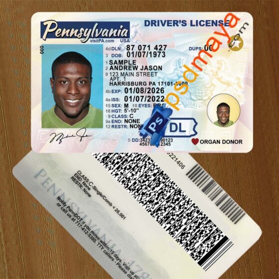 USA Pennsylvania Driving License Psd Template Free Download-Fully ...