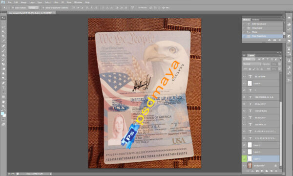 USA PASSPORT PSD FILE