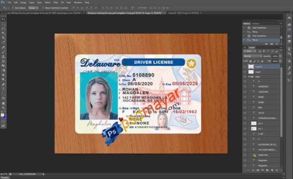 Delaware Driver License PSD Template Free Download