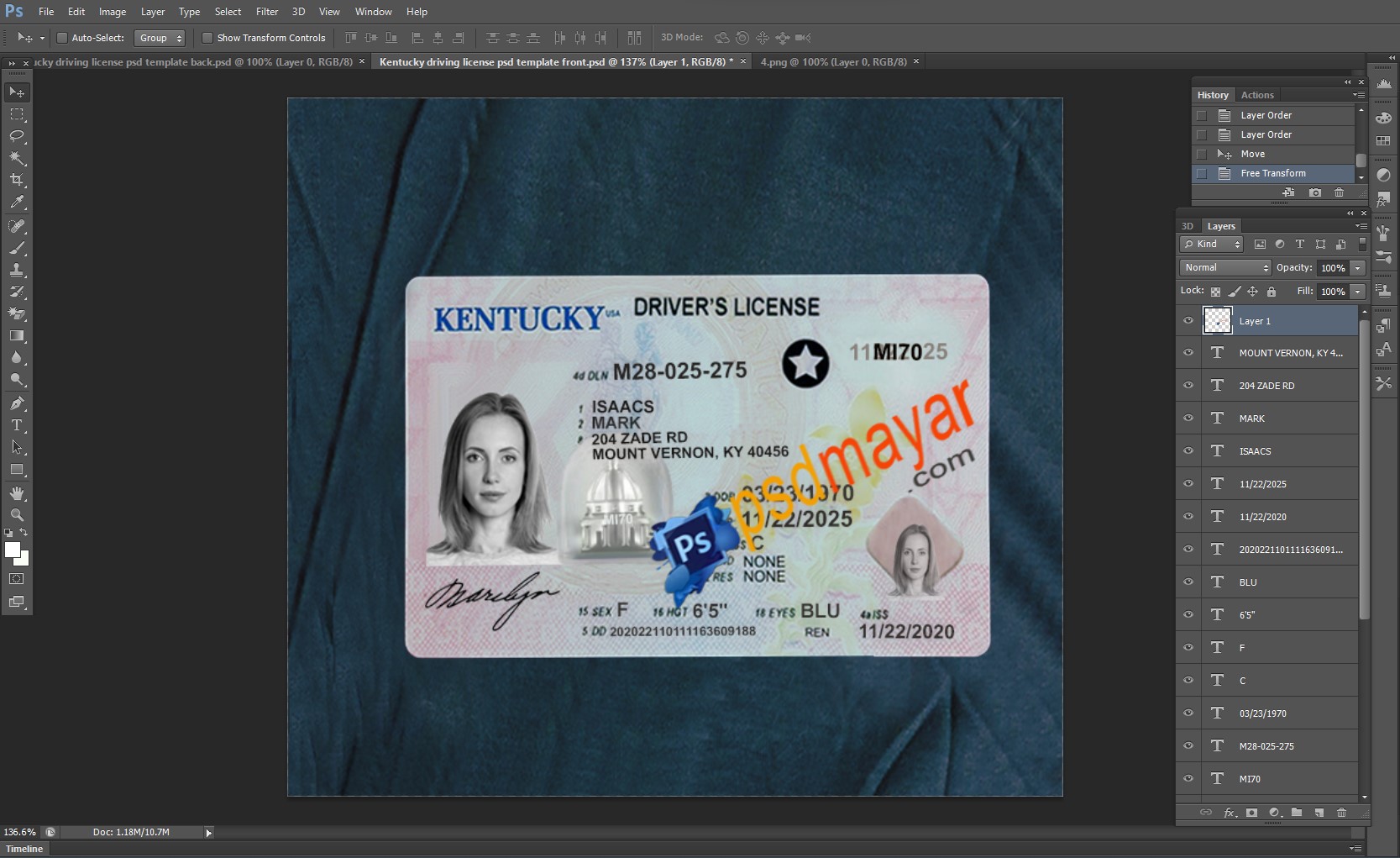 USA Kentucky state driving license editable PSD