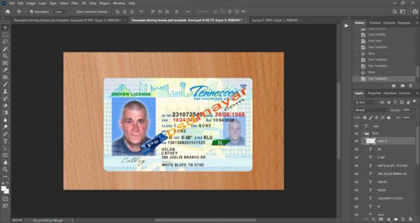 Tennessee driver license template In PSD Format