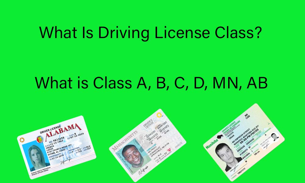 What Is Driving License Class?