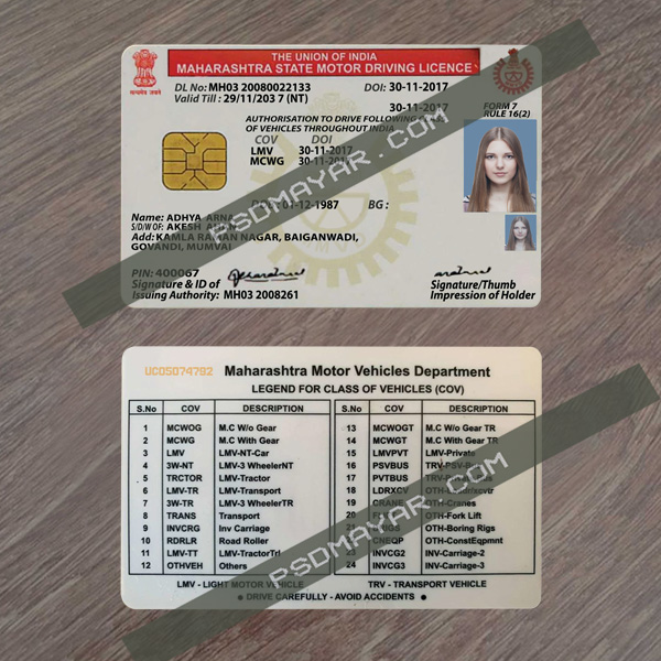 India Driver License PSD Template - Download