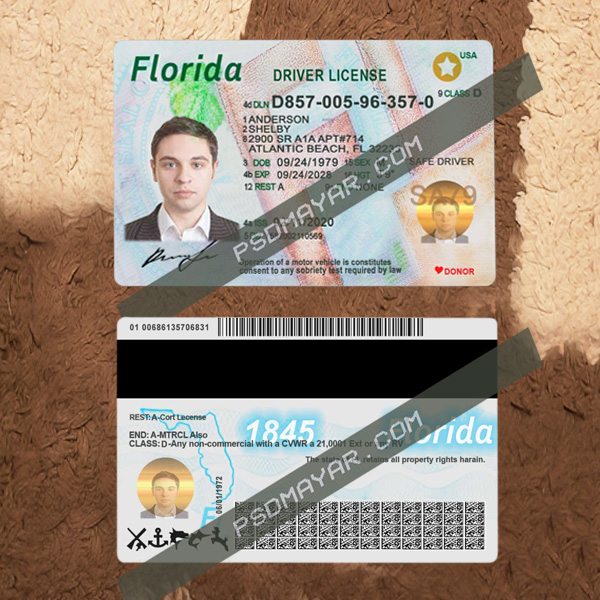 Florida update driving license psd template