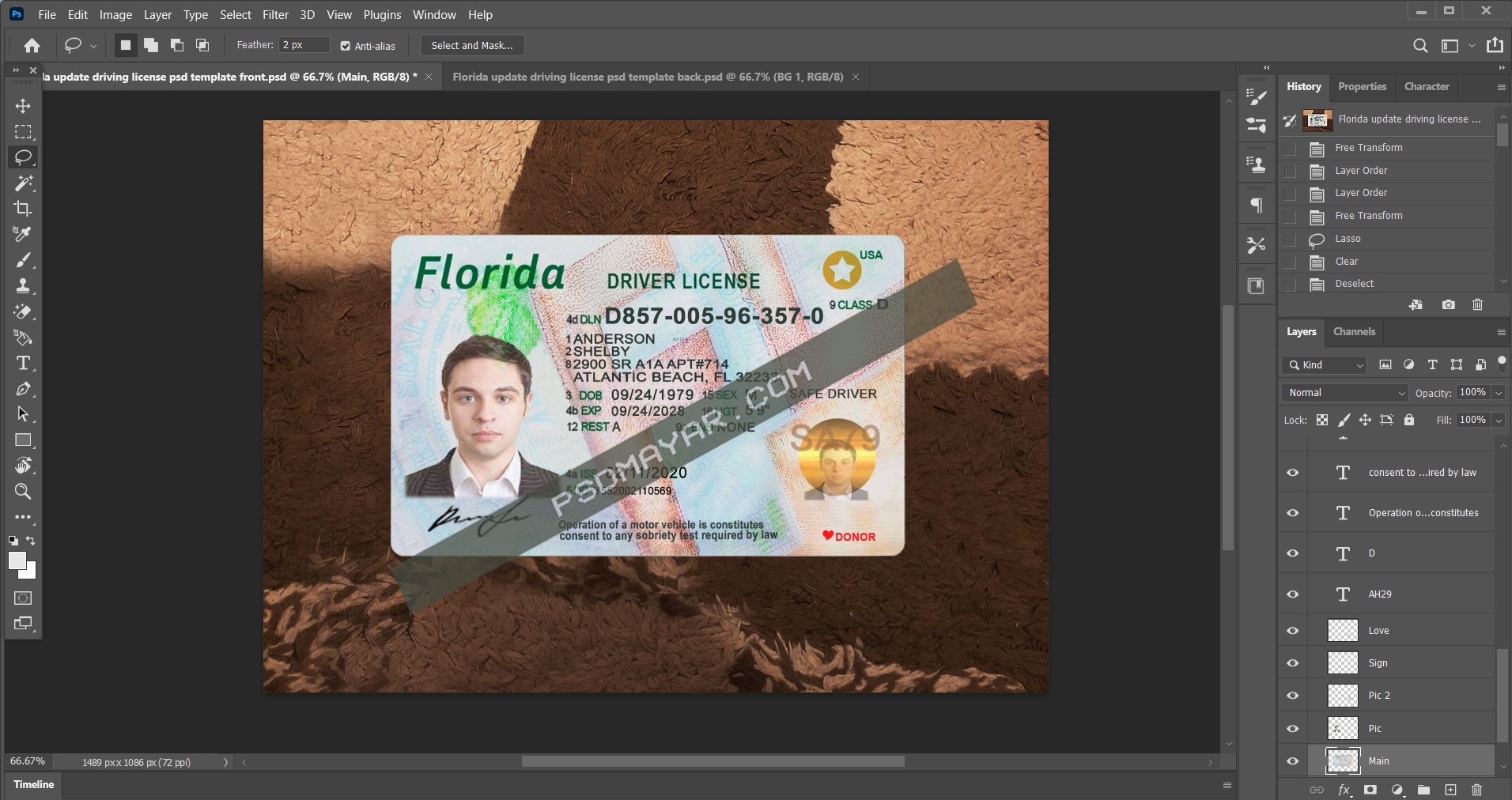 Florida update driving license psd template