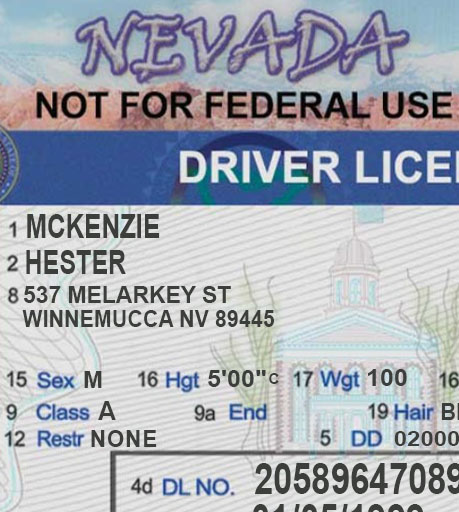 Nevada Driver's License Scan