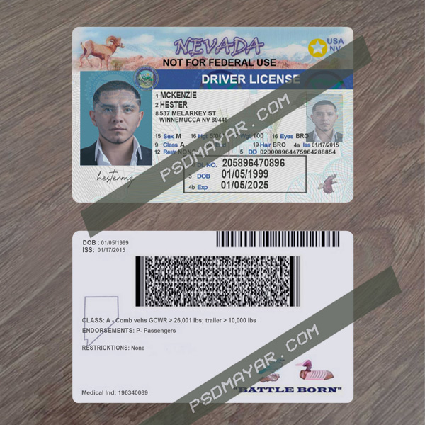 nevada driving license psd template free download