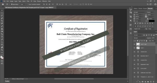 USA Business Certificate of Registration Psd Template- Download