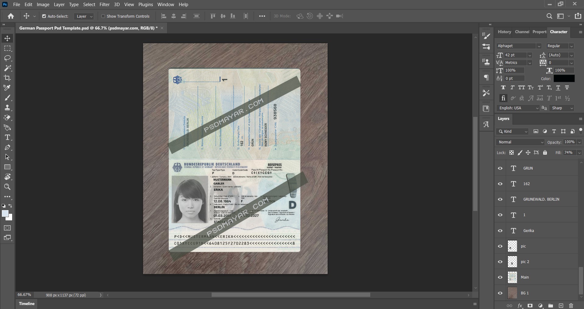 Germany passport Update psd template- Download