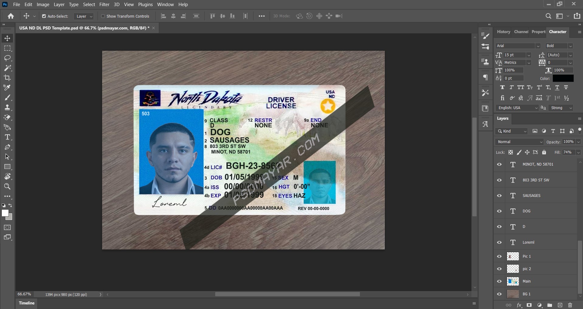 USA North Dakota DL PSD Template